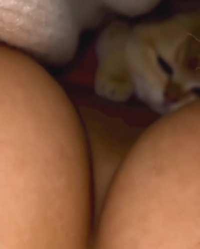 Check out my pussy