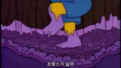 Simp son hates France