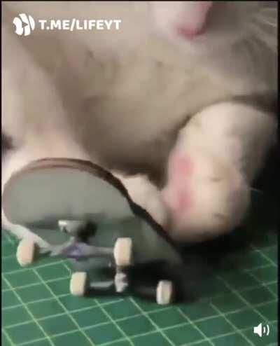 Зацените трюк