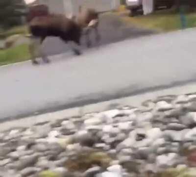 Definitely something