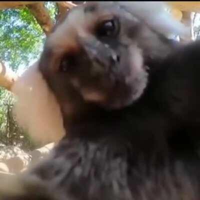 Bom dia adm (menos o legolas é a iris)( peguei do r/orochisegunto não lembro o nome do cara )