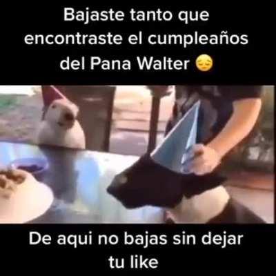 Felicidades te encontraste con el cumpleaños del pana walter