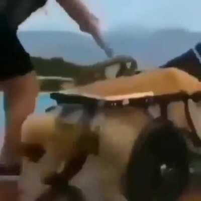 Espero que esté bien