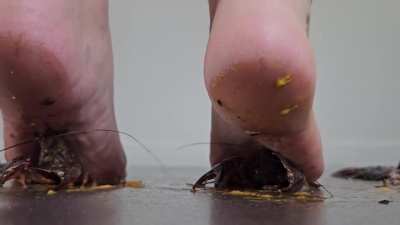 As per request, a compilation of Paige from Crush Dolls. That site has downloadable samples like Dream Crush does but they are very choppy so I did the best I could with what they had and added some close ups and slow motion shots to enhance the video. En