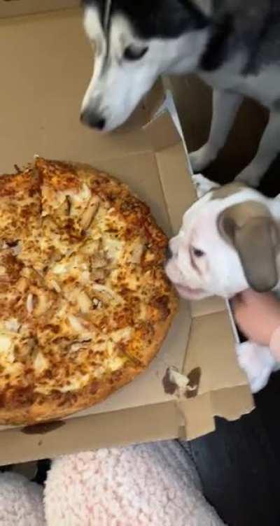 She’s still shocked