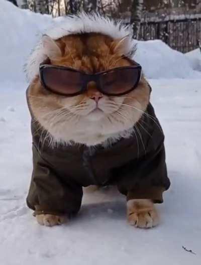 I went outside for the first time in the new year