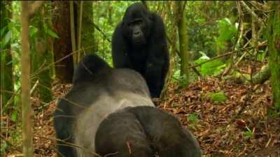 This lovely gal trying to woo the man of her dreams with her smile