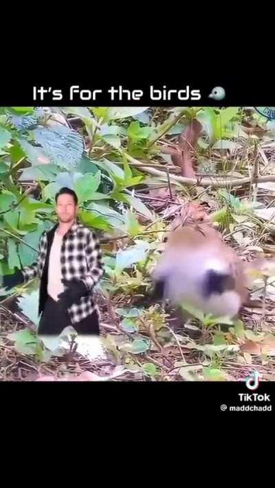 I've watched this like a million times and never gets old