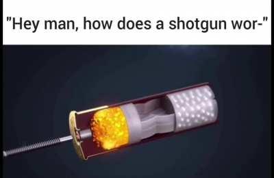 shotguns are the best