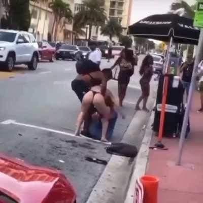 Cat fight South Beach Miami Florida