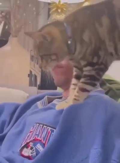 When you hate cats but cats love you.