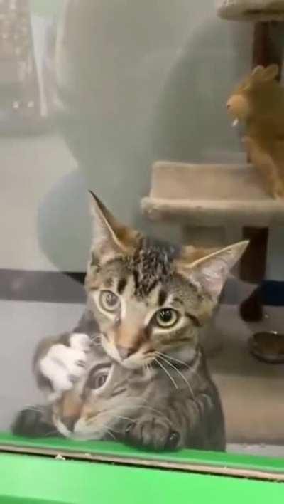 She's the main character....