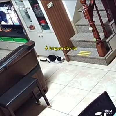 Mission failed. We will get em' next time...