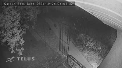 Fattest skunk in marda loop?