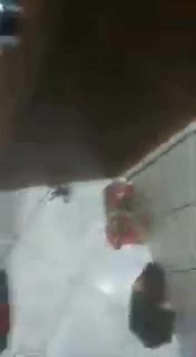 Esse Morreu,Mas Passa bem