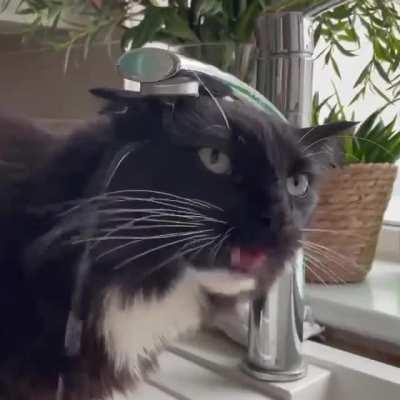 To drink water