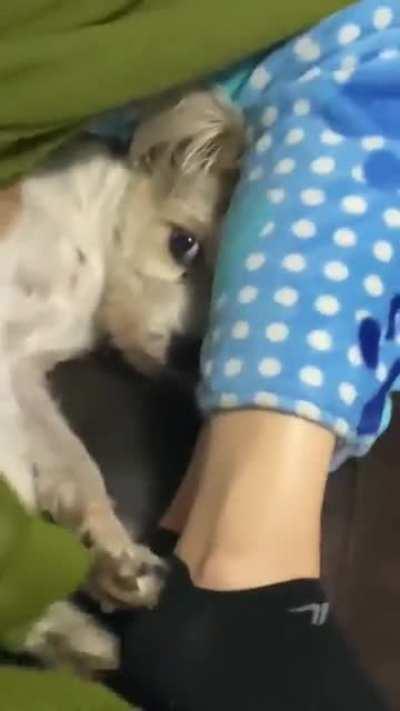 Close the curtain ... I have my own atmosphere here