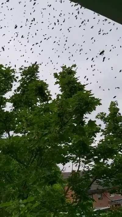 I was wondering where the sound came from and this was a surprise for sure. I live in germany btw