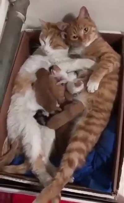 FAMILY😻😻😻😻