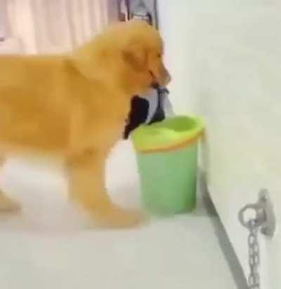 Терпению пришёл конец