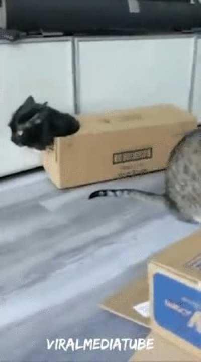 Stealth is my middle name