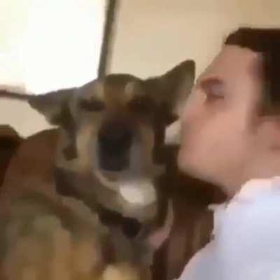 Para alegrarles el día