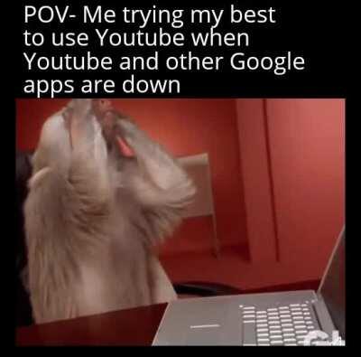 I tried restarting my phone lol