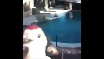 Come Up & Get Me Sample identified??? (probably not but whatever)