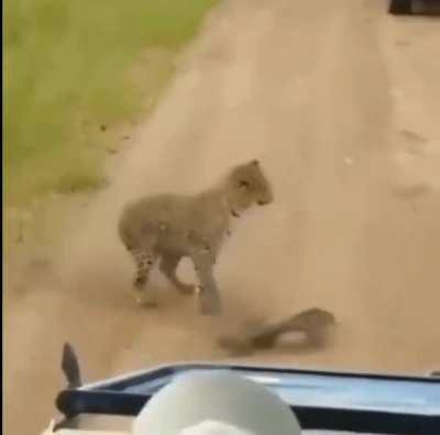 Интересное сколько кг в таком ударе?