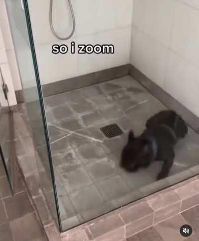 The look of satisfaction is adorable