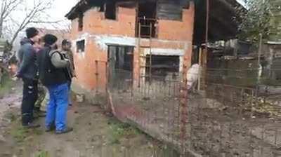 Sa cvijetom u kosi...