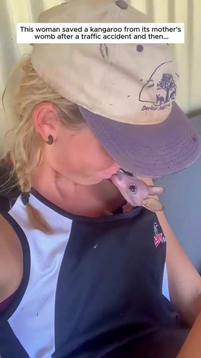 This woman saved a baby kangaroo from its mother’s womb after a traffic accident, and then...