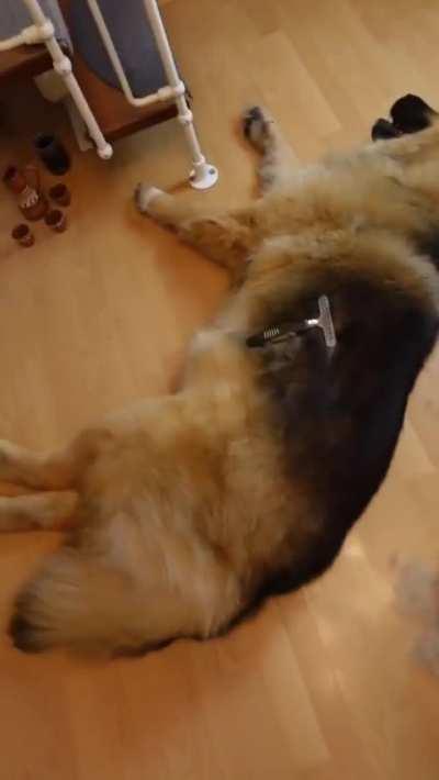 caring cements the relationship