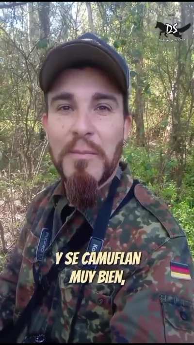 Apareció un lechuzón orejudo y su polluelo en Provincia de Buenos Aires