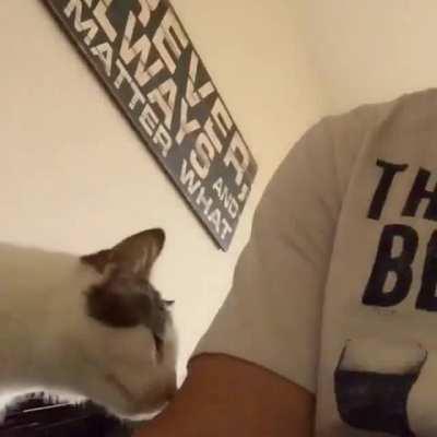 Um, yes, excuse me hooman. I need pets