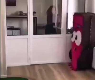 This lady doesn't suspect anything 😹