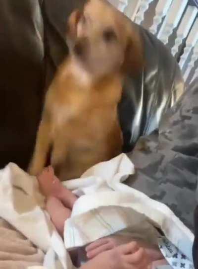 Baby needs a diaper change.