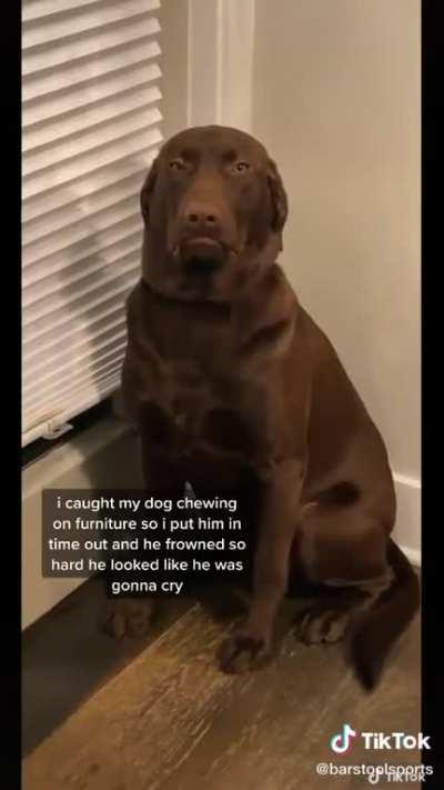 That laugh is contagious