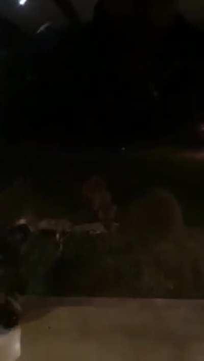 Lucky family seeing a kill right outside their window. Somewhere in South Africa