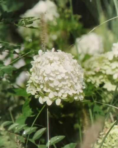 251013 Yujin - Harper's Bazaar Korea X Lacoste (October 2025 Moving Cover)