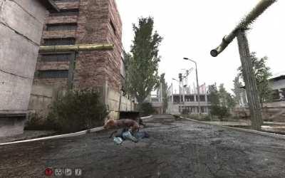 Uh, what's this dog doing to me?