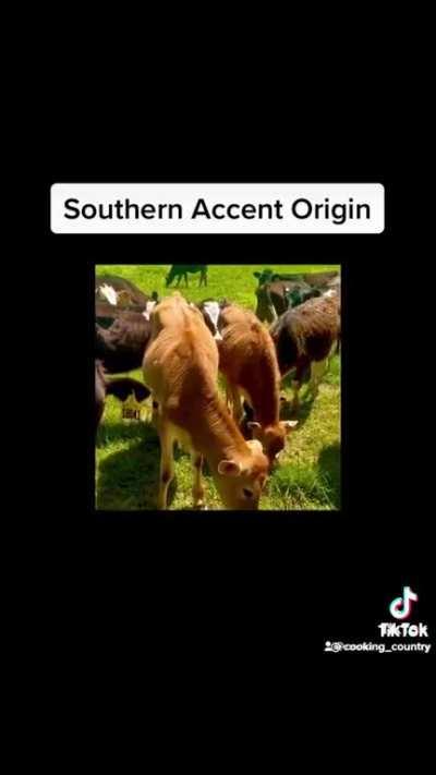 Origins of the American Southern Accent.