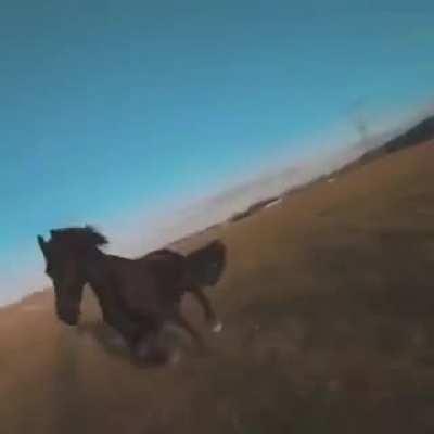 Not sure the drone shot was worth it!