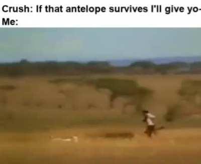 Cheetah go brrrrrr...