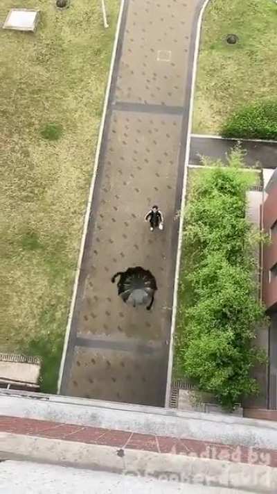 don't forget meeeeeeeeeee!