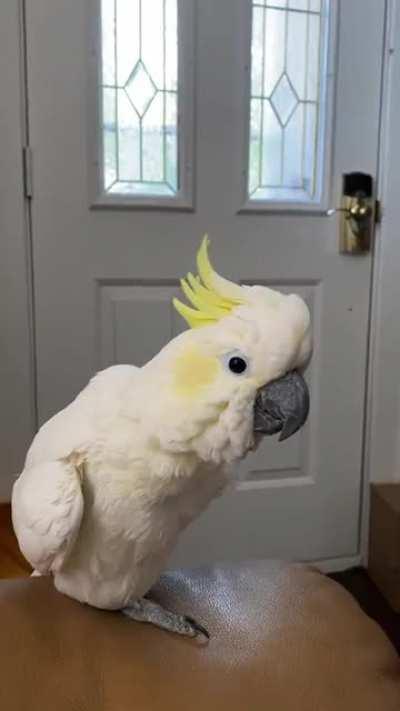 How do you refrain from squishing omg