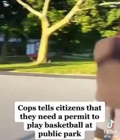 Police tell black people that they're not welcome to play ball in a public park