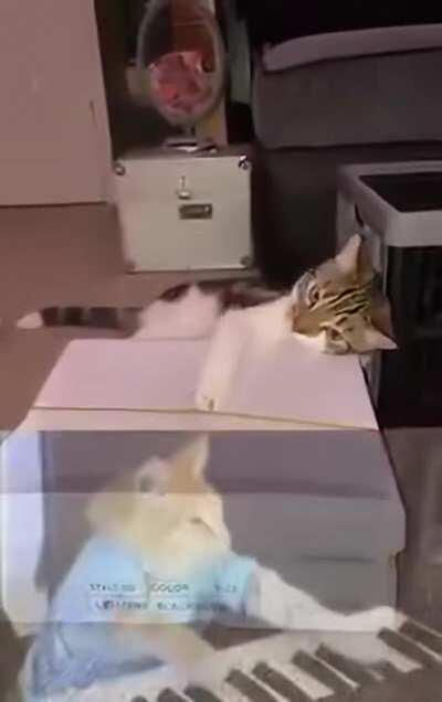 For the queen, next time she browses here.