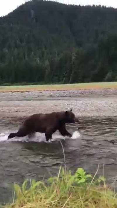 How it be outside Hanging Dogs Ranch