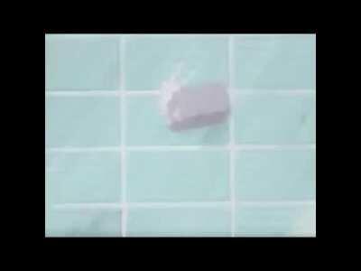 men bend over to pick something up